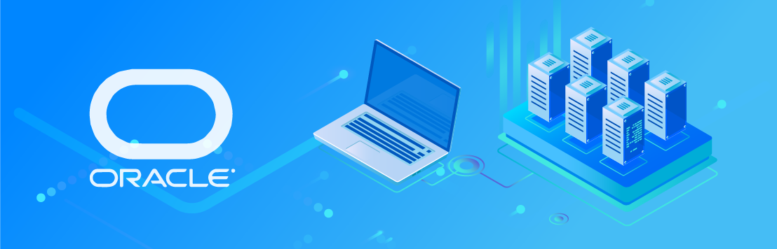 Oracle Web Development - Wilcode Development